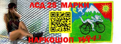 гашик Будённовск