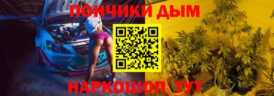 гашик Будённовск