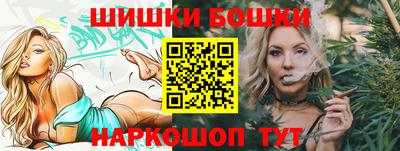 гашик Будённовск