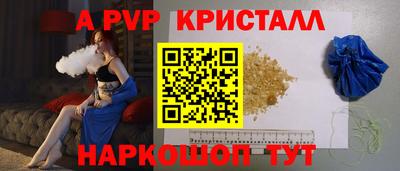 гашик Будённовск
