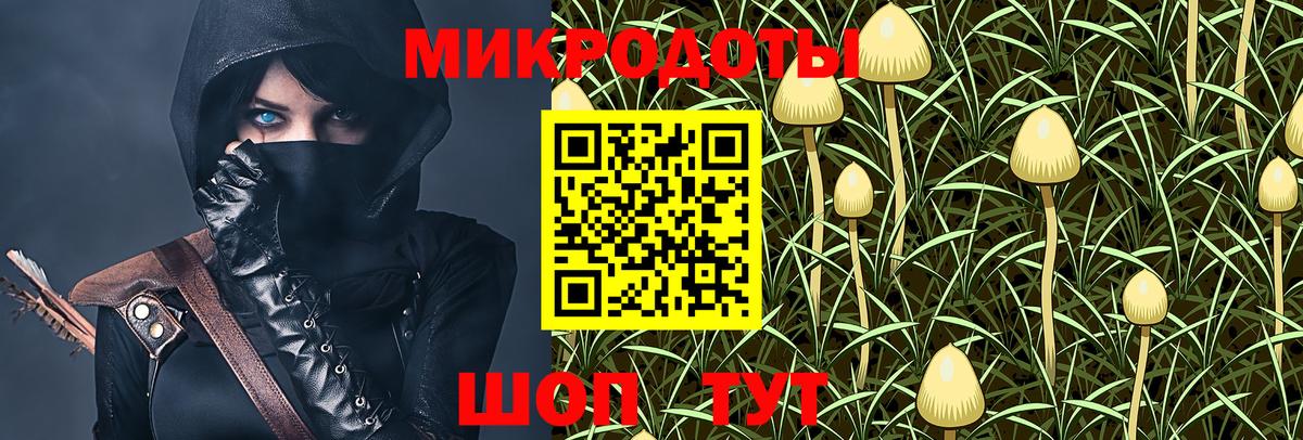 Курск  Галлюциногенные грибы GOLDEN TEACHER  дарнет шоп  Галлюциногенные грибы мухоморы  Вход с VPN 